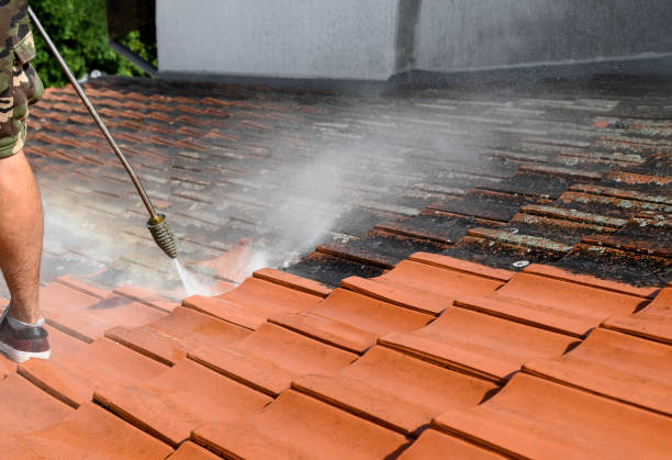 Best Affordable Power Washing  in Fresno, TX